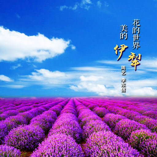 jizzjizz免费大全
